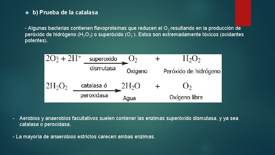  b) Prueba de la catalasa - Algunas bacterias contienen flavoproteínas que reducen el