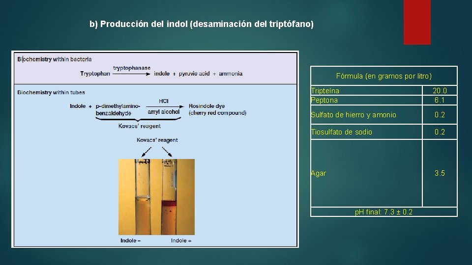 b) Producción del indol (desaminación del triptófano) Fórmula (en gramos por litro) Tripteína Peptona