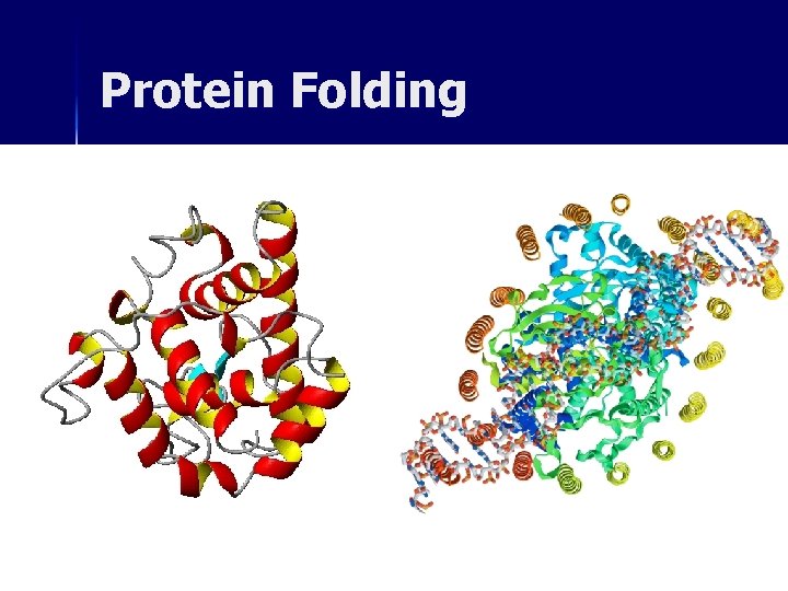 Protein Folding 
