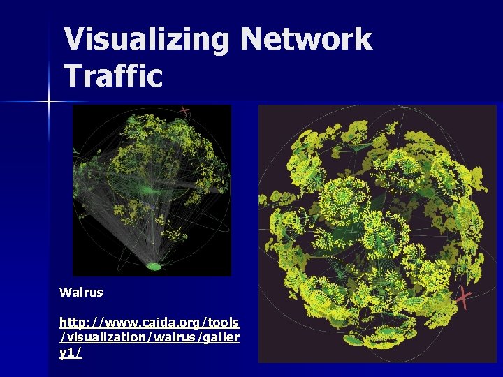 Visualizing Network Traffic Walrus http: //www. caida. org/tools /visualization/walrus/galler y 1/ 