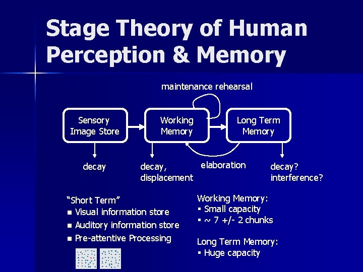 Stage Theory of Human Perception & Memory maintenance rehearsal Sensory Image Store decay Working