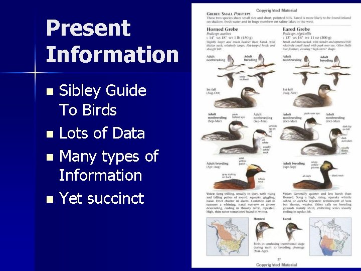 Present Information Sibley Guide To Birds n Lots of Data n Many types of