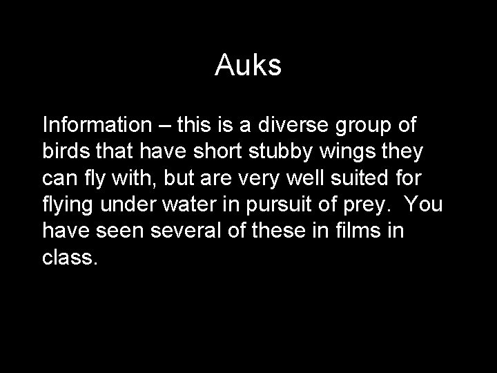 Auks Information – this is a diverse group of birds that have short stubby