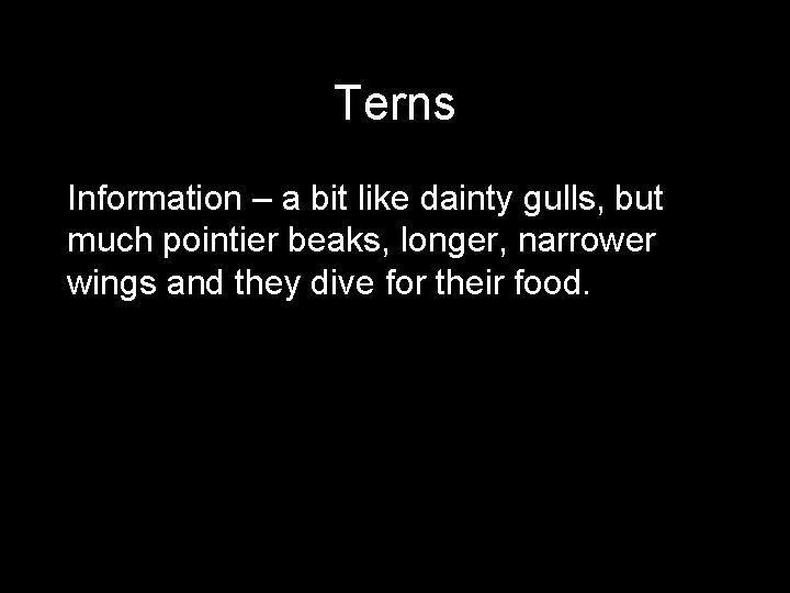 Terns Information – a bit like dainty gulls, but much pointier beaks, longer, narrower
