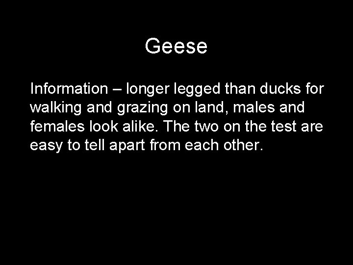 Geese Information – longer legged than ducks for walking and grazing on land, males