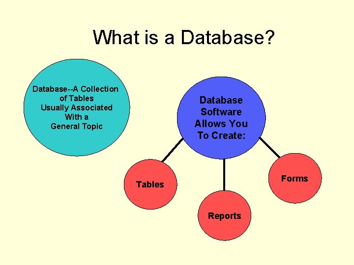 What is a Database? Database--A Collection of Tables Usually Associated With a General Topic