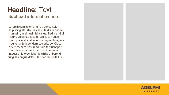 Headline: Text Subhead information here Lorem ipsum dolor sit amet, consectetur adipiscing elit. Mauris