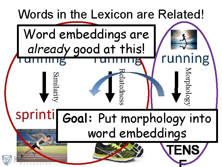 Words in the Lexicon are Related! Word embeddings are already good at this! running