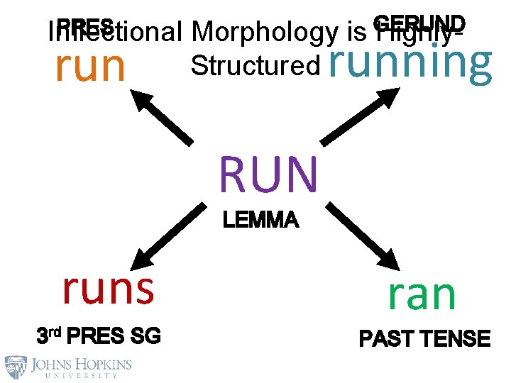 PRES Inflectional run Morphology Structured GERUND is Highly- running RUN LEMMA runs 3 rd