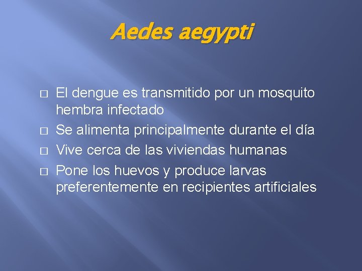 Aedes aegypti � � El dengue es transmitido por un mosquito hembra infectado Se