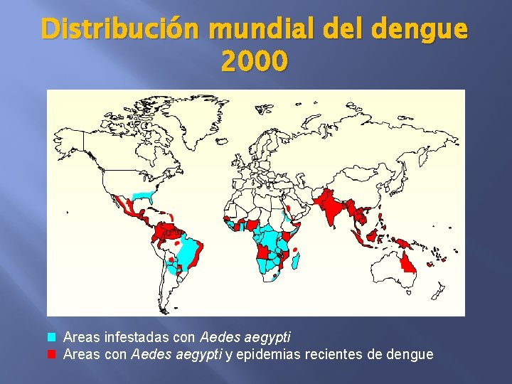 Distribución mundial dengue 2000 Areas infestadas con Aedes aegypti Areas con Aedes aegypti y