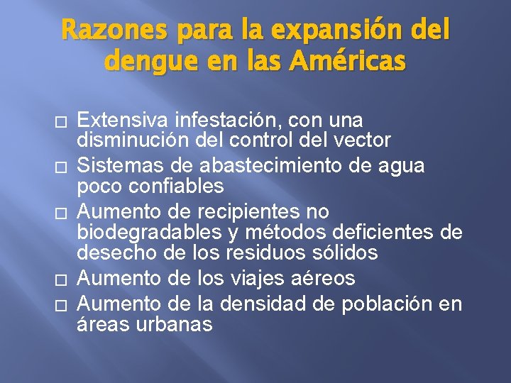 Razones para la expansión del dengue en las Américas � � � Extensiva infestación,