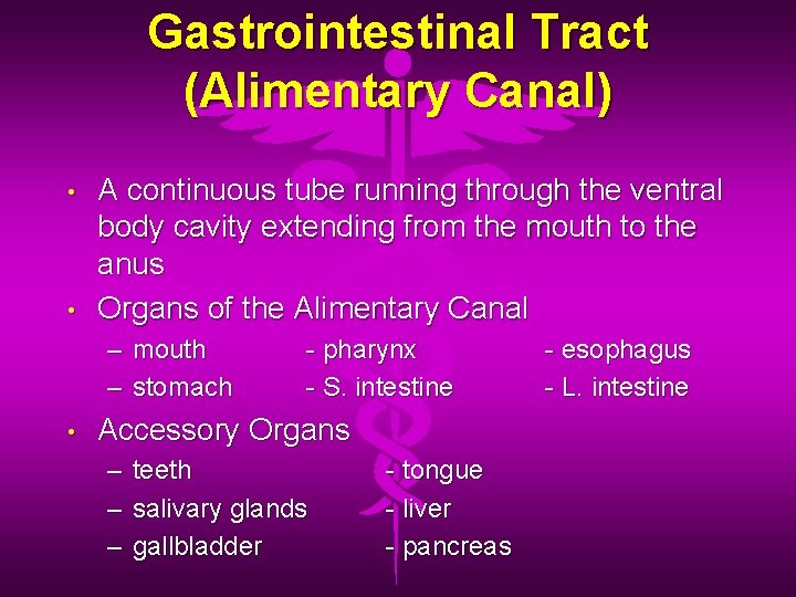 Gastrointestinal Tract (Alimentary Canal) • • A continuous tube running through the ventral body