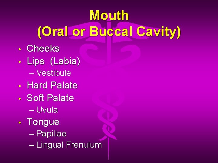 Mouth (Oral or Buccal Cavity) • • Cheeks Lips (Labia) – Vestibule • •
