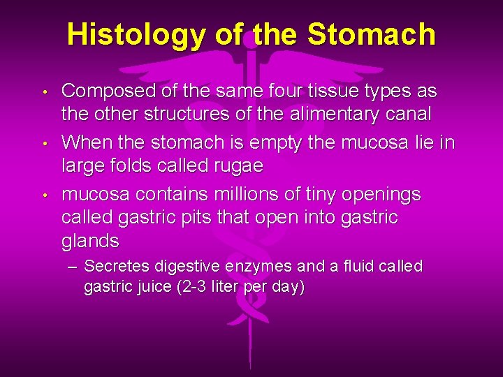Histology of the Stomach • • • Composed of the same four tissue types