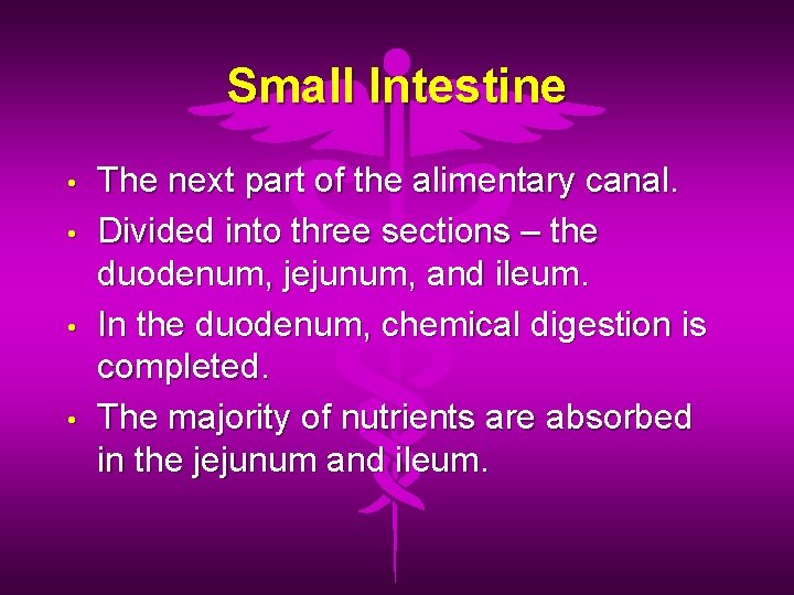 Small Intestine • • The next part of the alimentary canal. Divided into three