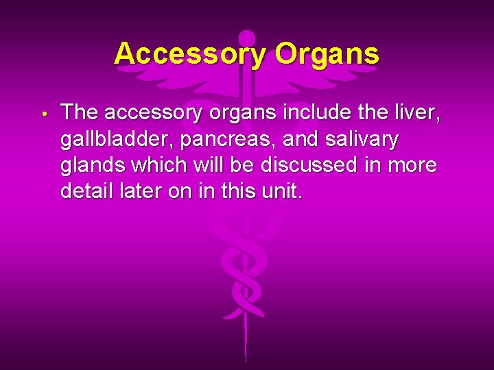 Accessory Organs • The accessory organs include the liver, gallbladder, pancreas, and salivary glands