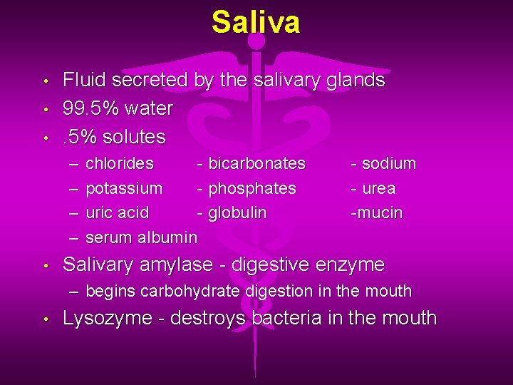 Saliva • • • Fluid secreted by the salivary glands 99. 5% water. 5%