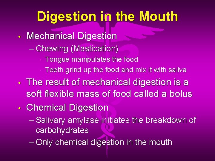 Digestion in the Mouth • Mechanical Digestion – Chewing (Mastication) • • Tongue manipulates
