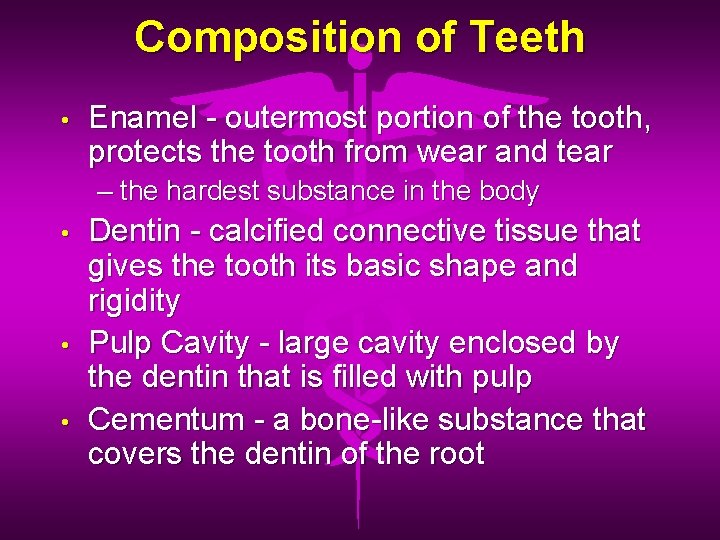 Composition of Teeth • Enamel - outermost portion of the tooth, protects the tooth