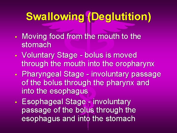 Swallowing (Deglutition) • • Moving food from the mouth to the stomach Voluntary Stage