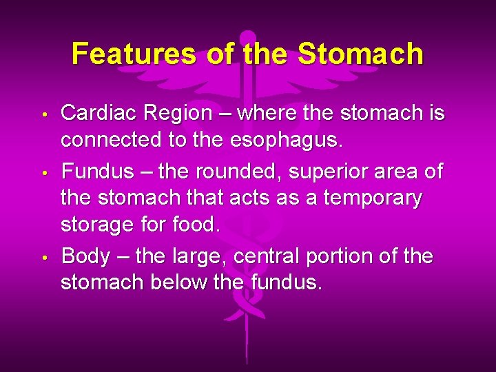 Features of the Stomach • • • Cardiac Region – where the stomach is