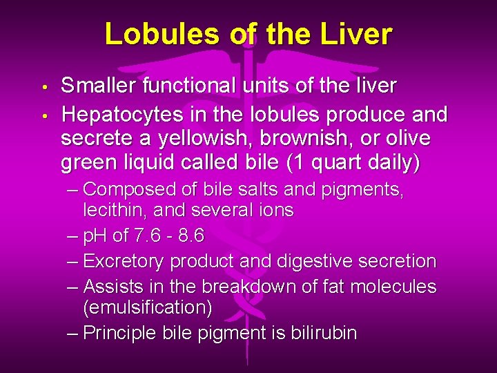 Lobules of the Liver • • Smaller functional units of the liver Hepatocytes in