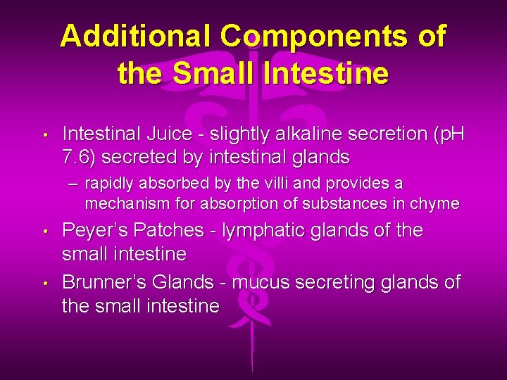 Additional Components of the Small Intestine • Intestinal Juice - slightly alkaline secretion (p.