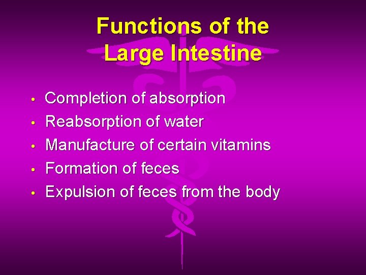 Functions of the Large Intestine • • • Completion of absorption Reabsorption of water