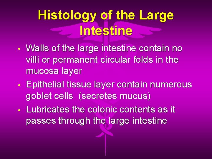 Histology of the Large Intestine • • • Walls of the large intestine contain