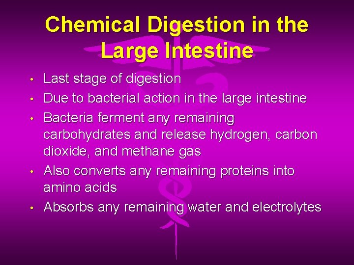 Chemical Digestion in the Large Intestine • • • Last stage of digestion Due