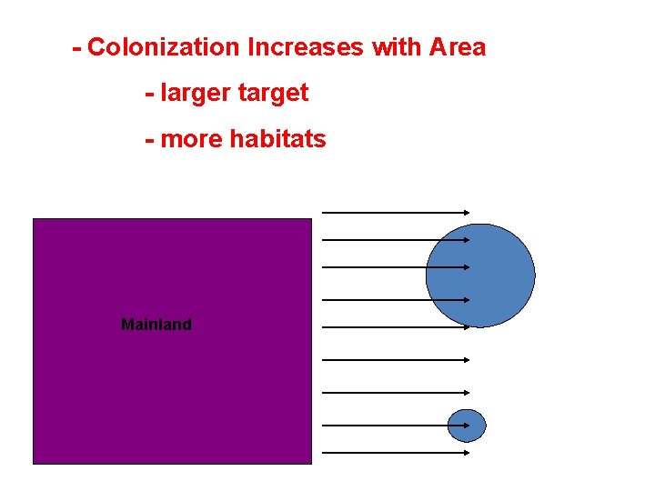 - Colonization Increases with Area - larger target - more habitats Mainland 