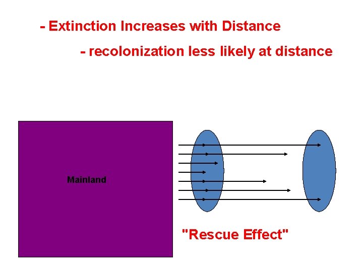 - Extinction Increases with Distance - recolonization less likely at distance Mainland "Rescue Effect"