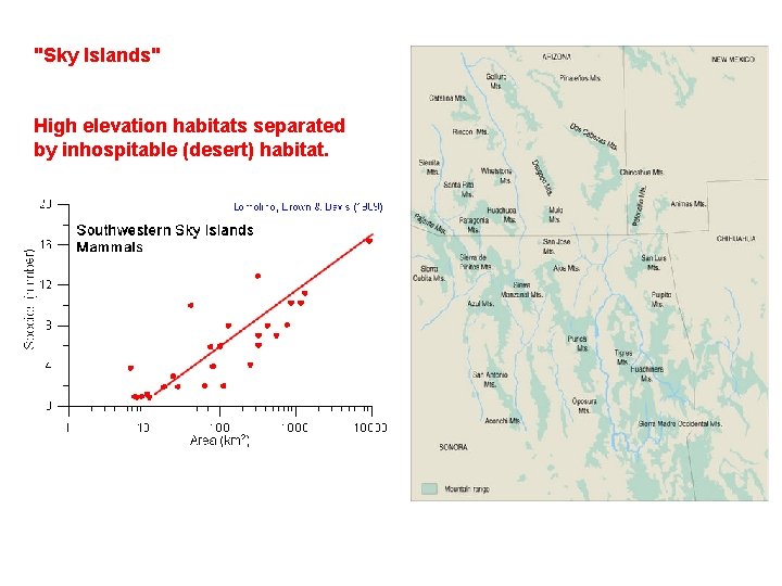 "Sky Islands" High elevation habitats separated by inhospitable (desert) habitat. 