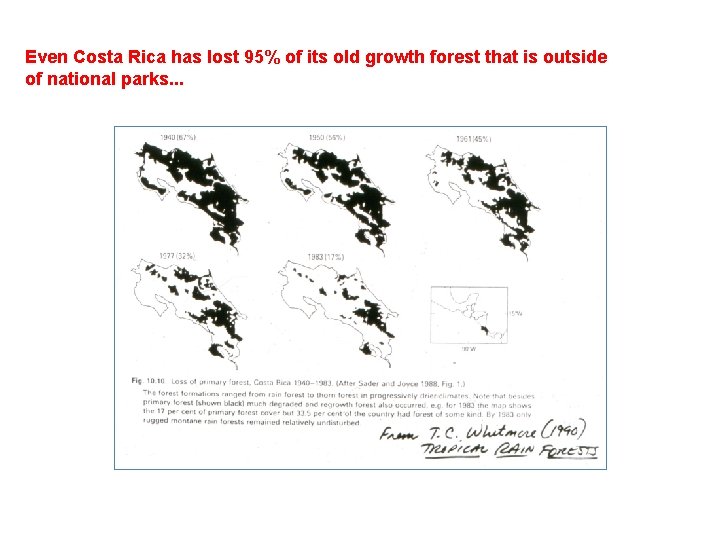 Even Costa Rica has lost 95% of its old growth forest that is outside