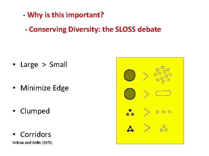 - Why is this important? - Conserving Diversity: the SLOSS debate • Large >