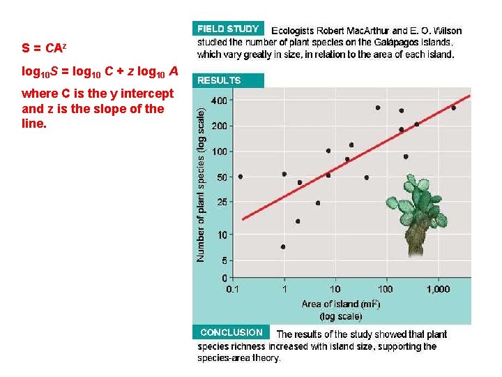 S = CAz log 10 S = log 10 C + z log 10