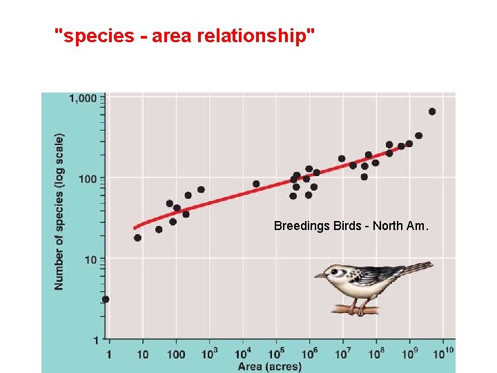 "species - area relationship" Breedings Birds - North Am. 