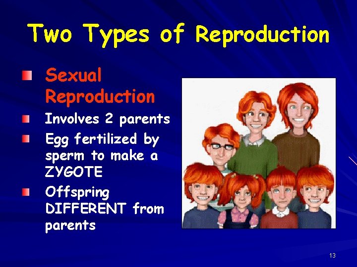Two Types of Reproduction Sexual Reproduction Involves 2 parents Egg fertilized by sperm to