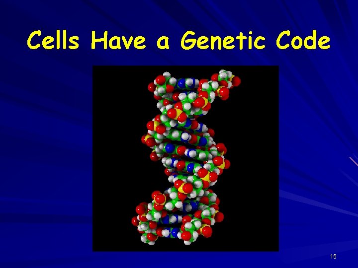 Cells Have a Genetic Code 15 