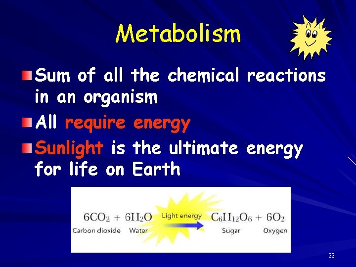 Metabolism Sum of all the chemical in an organism All require energy Sunlight is