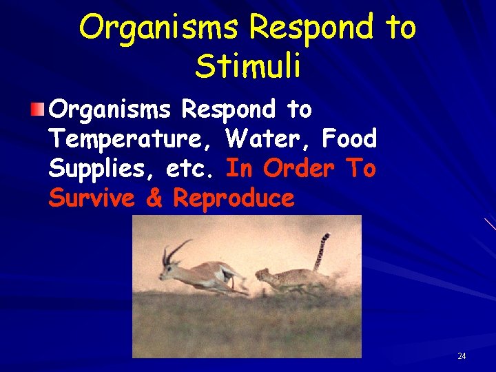 Organisms Respond to Stimuli Organisms Respond to Temperature, Water, Food Supplies, etc. In Order