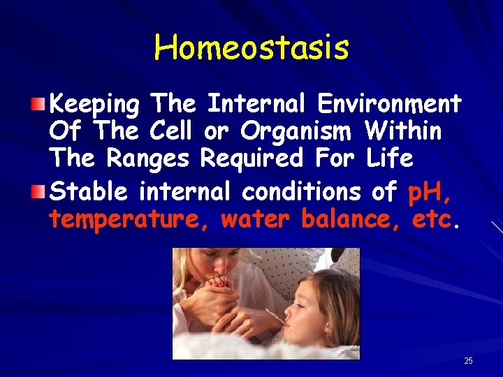 Homeostasis Keeping The Internal Environment Of The Cell or Organism Within The Ranges Required