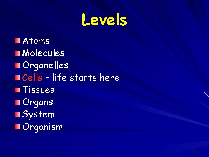 Levels Atoms Molecules Organelles Cells – life starts here Tissues Organs System Organism 28