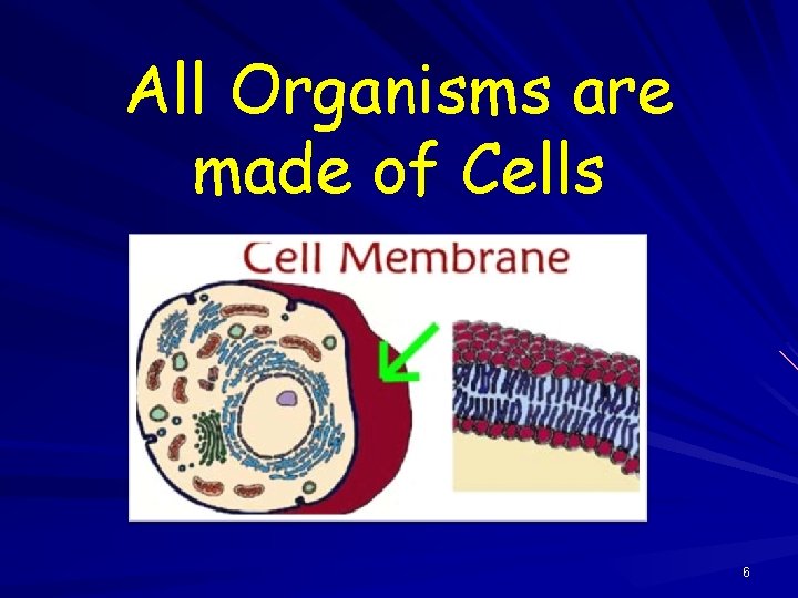 All Organisms are made of Cells 6 