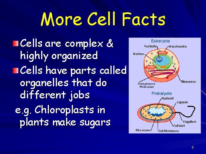 More Cell Facts Cells are complex & highly organized Cells have parts called organelles
