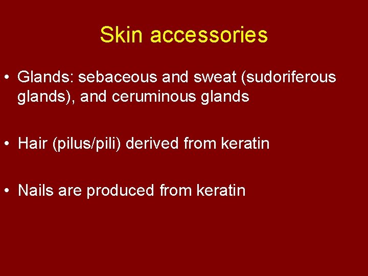 Skin accessories • Glands: sebaceous and sweat (sudoriferous glands), and ceruminous glands • Hair