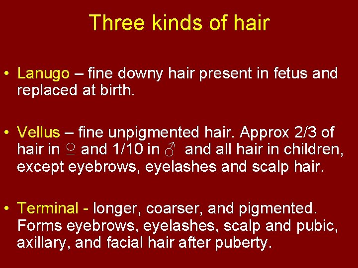 Three kinds of hair • Lanugo – fine downy hair present in fetus and