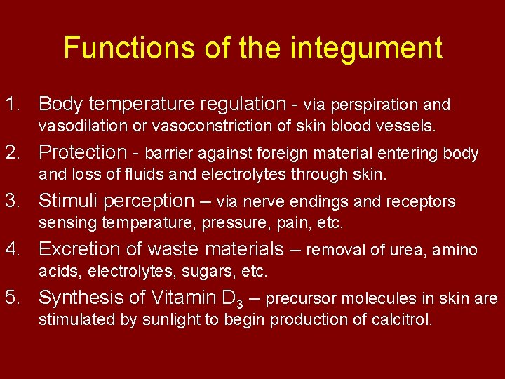Functions of the integument 1. Body temperature regulation - via perspiration and vasodilation or