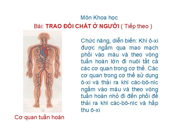 Môn Khoa học Bài: TRAO ĐỔI CHẤT Ở NGƯỜI ( Tiếp theo ) Chức